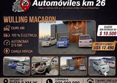 WULLING MACARONE U$S 12490
