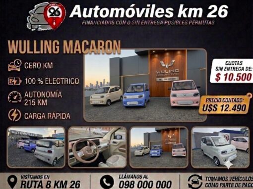 WULLING MACARONE U$S 12490