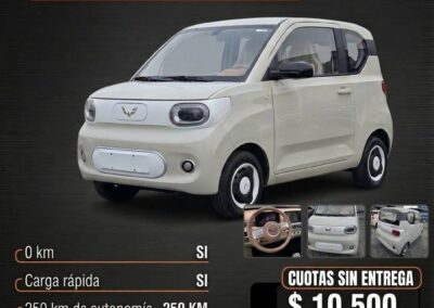 Wuling Macaron